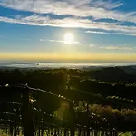 Weingut & Buschenschank Poelzl Großklein