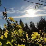 Weingut & Buschenschank Poelzl 3* Grossklein