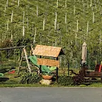 Weingut & Buschenschank Poelzl 게스트하우스 3*