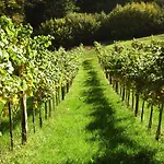 Weingut & Buschenschank Poelzl 게스트하우스