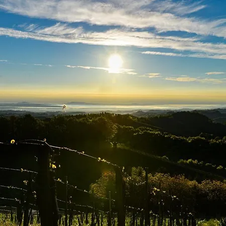 Weingut & Buschenschank Poelzl Grossklein