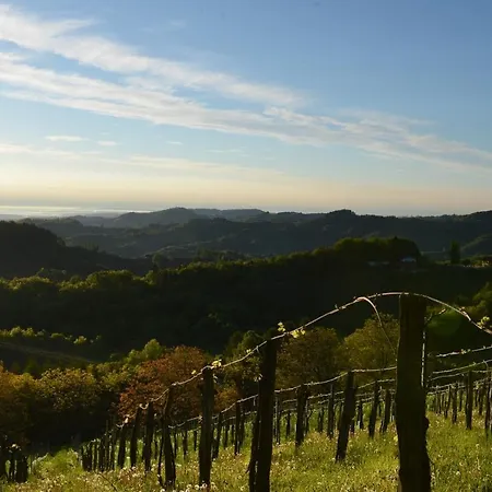 Weingut & Buschenschank Poelzl 3* Großklein