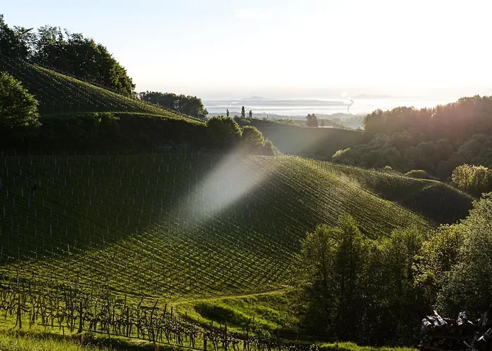 Weingut & Buschenschank Poelzl Großklein