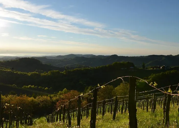 Weingut & Buschenschank Poelzl 3* Großklein
