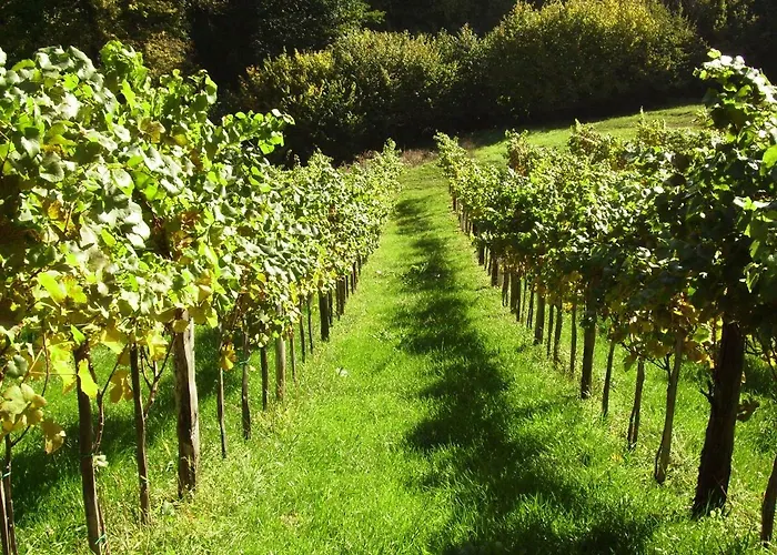 Weingut & Buschenschank Poelzl Gasthuis